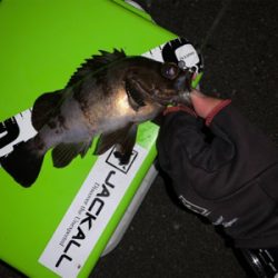 久々過ぎて大満足!