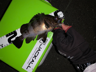 久々過ぎて大満足!