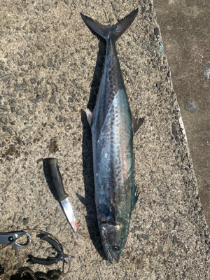 アタリが欲しくて❗þ…