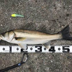 パターン変わって来たかな(>_<)