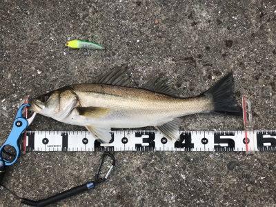 パターン変わって来たかな(>_<)