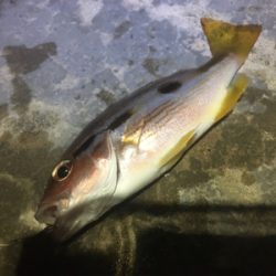 台風が来る前に