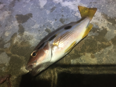 台風が来る前に