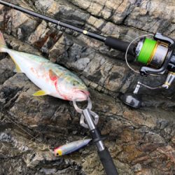 台風ウネリで苦戦