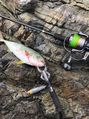 台風ウネリで苦戦