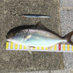 今日も1日ジギングを楽しみました