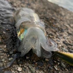 波と風と潮が…