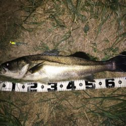 ランカーまで後2cm(>_<)