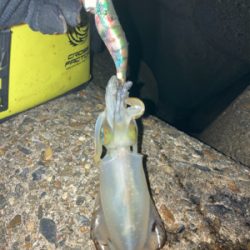 時合いは一瞬。。。σ(^_^;)