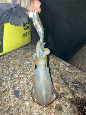 時合いは一瞬。。。σ(^_^;)