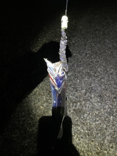 ロマンを求めて