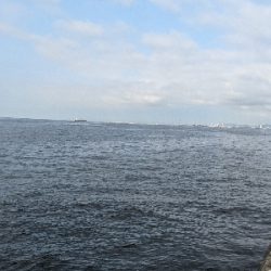 自己ベスト更新７．１キロサワラ