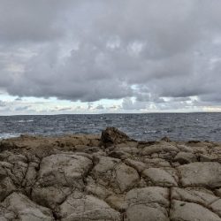 ヒラマサバラシ‥