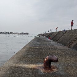 ショアジギング