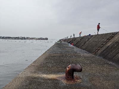 ショアジギング