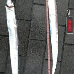 タチウオ複数安打