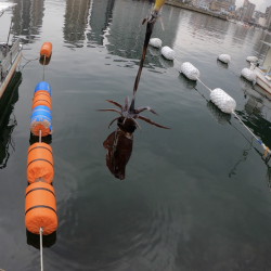 すくすく成長中!