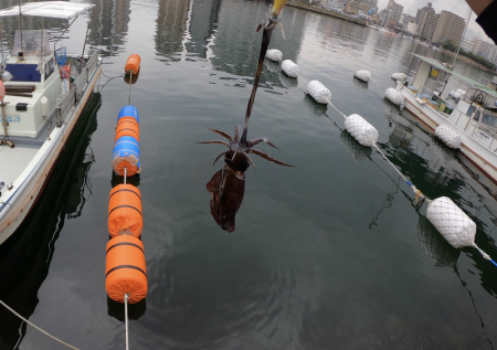 すくすく成長中!