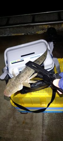 ONOKOROはサバ地獄