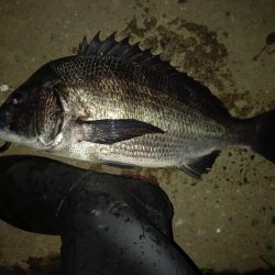 透明度は高いが