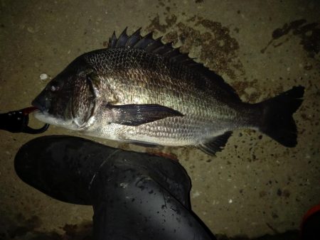 透明度は高いが