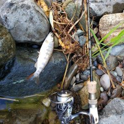 メテオーラ52の日でした。