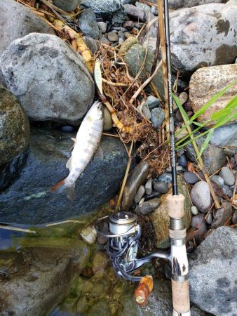 メテオーラ52の日でした。