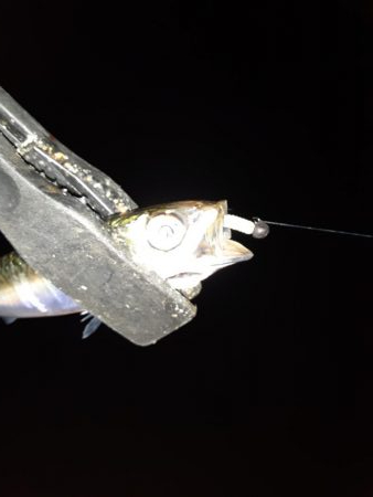 ライトゲーム45