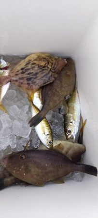 学生時代の仲間と