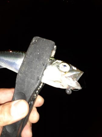 ライトゲーム46