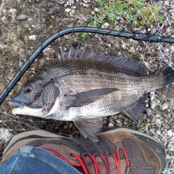 誤爆が多めでした。