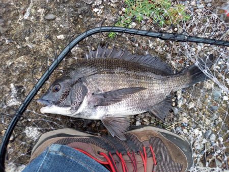 誤爆が多めでした。