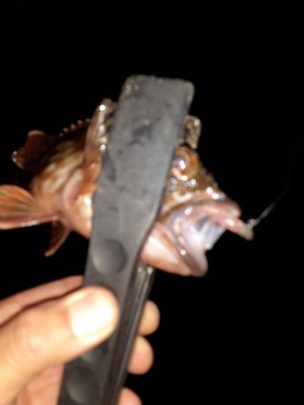 ライトゲーム47