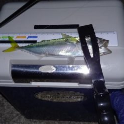 南蛮漬けの材料調達