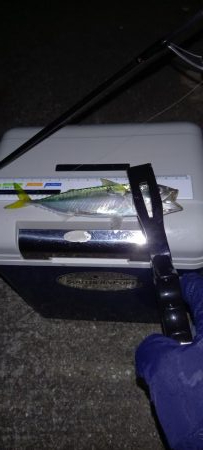 南蛮漬けの材料調達