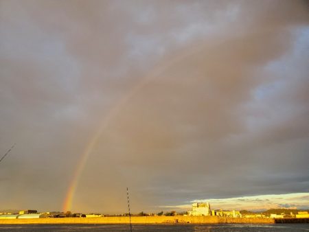 アジ祭りからのサーベリング