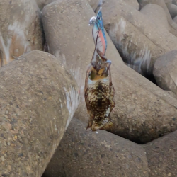 トンカツまでもう少し