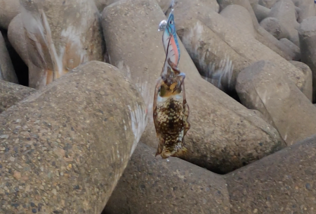 トンカツまでもう少し