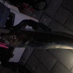 南港ショアタチスタート!