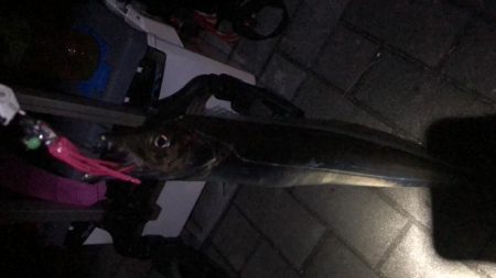 南港ショアタチスタート!