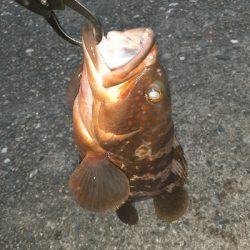 足元でくってきました