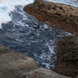 青物の気持ちがわからん笑