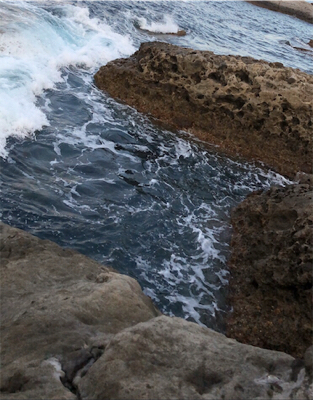 青物の気持ちがわからん笑