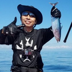 シイラ無限地獄