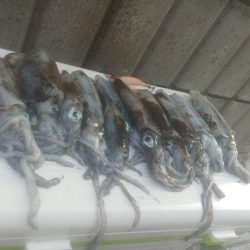 日本海のポテンシャルは高すぎる！