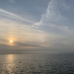 久々のアジ！！