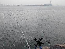 ハゼちょい投げ苦戦