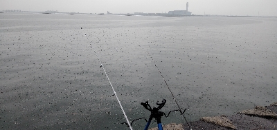 ハゼちょい投げ苦戦