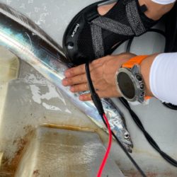 秋　太刀魚テンヤで