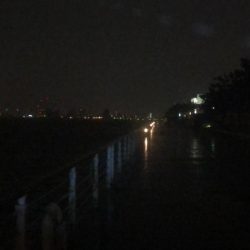 とても渋いシーサイド